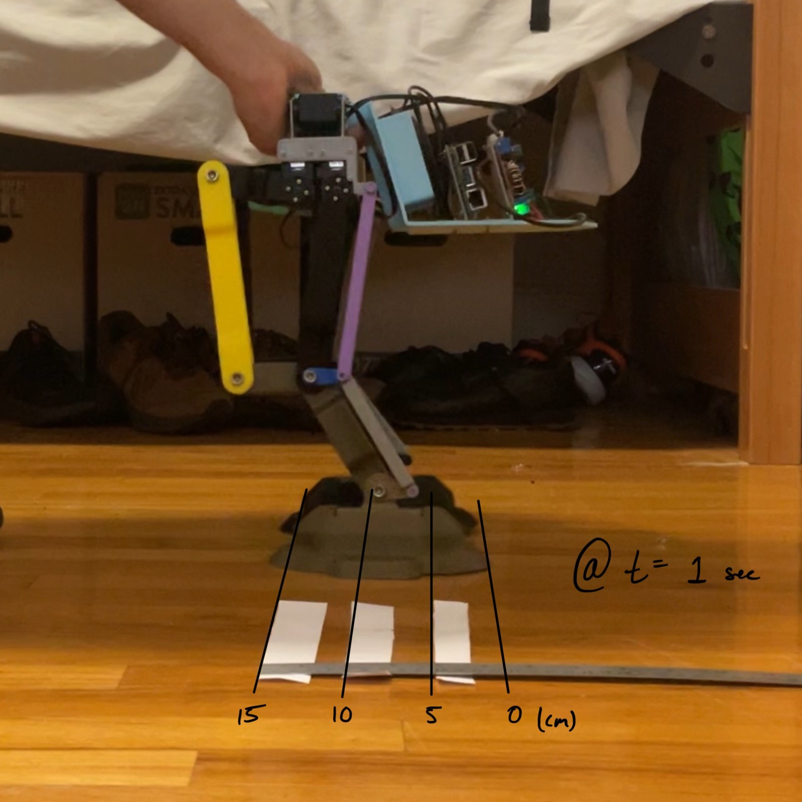 First Frame of the Gait Performance Video